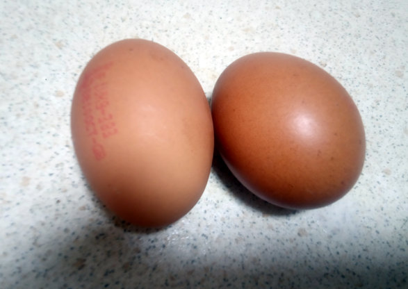 huevos para torta de avena fit